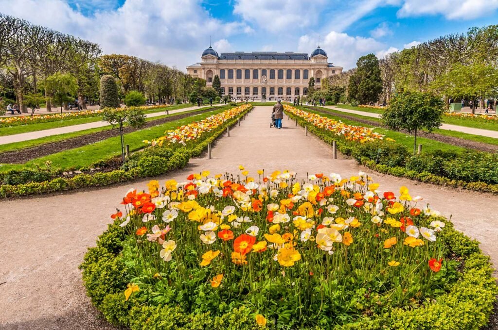 Jardin des plantes