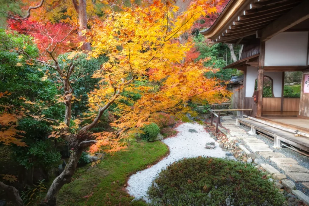 Aménagement jardin et maison : les clés d'un extérieur beau et fonctionnel