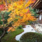 Aménagement jardin et maison : les clés d'un extérieur beau et fonctionnel