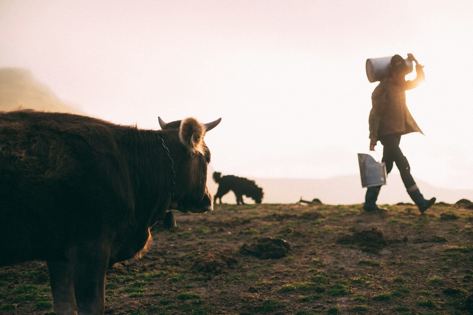 néo-rural